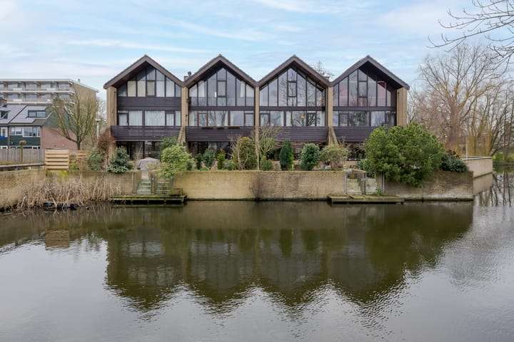 Foto 1 van Van Slingelandtplantsoen 19