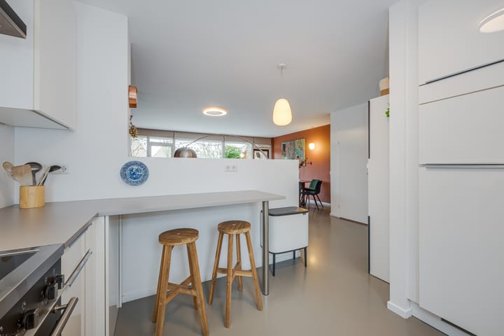 Foto 21 van Van Slingelandtplantsoen 19