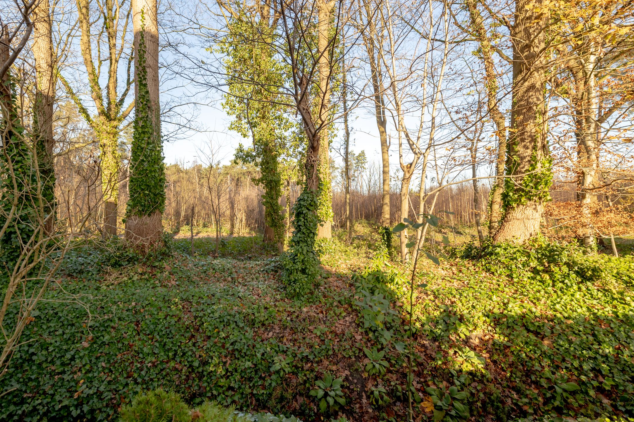 Foto 27 van Pyramidedreef 15