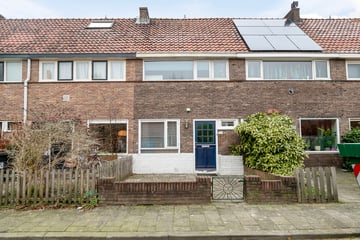Spechtstraat thumbnail