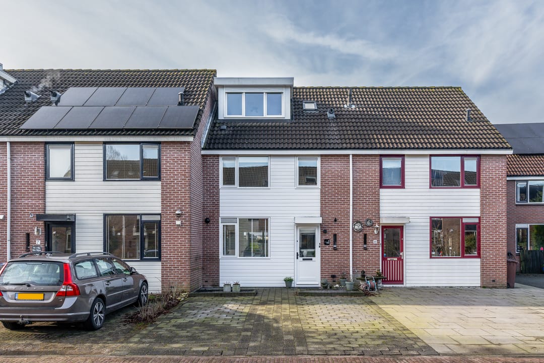 Foto 7 van Speenkruid 9