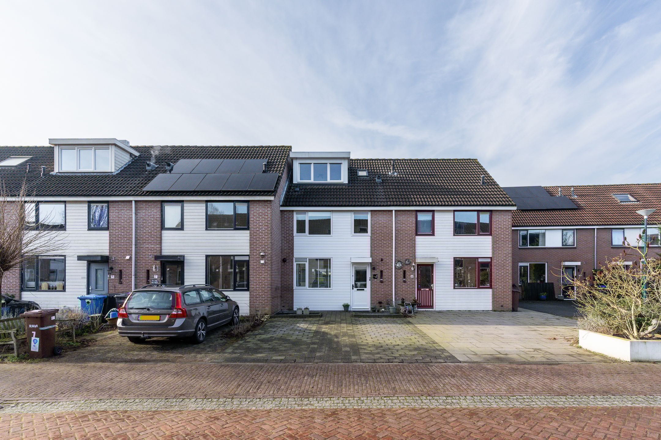 Foto 9 van Speenkruid 9