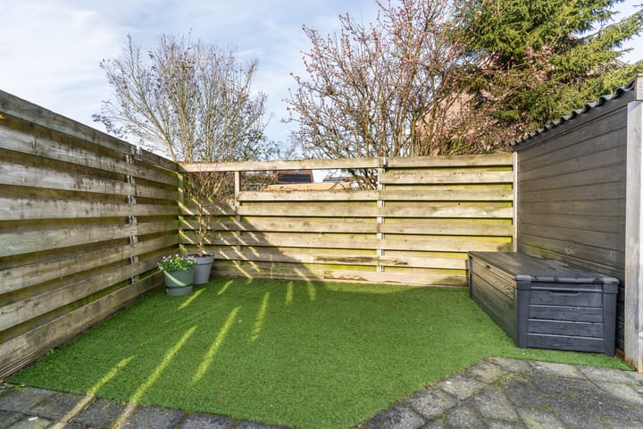 Foto 6 van Speenkruid 9