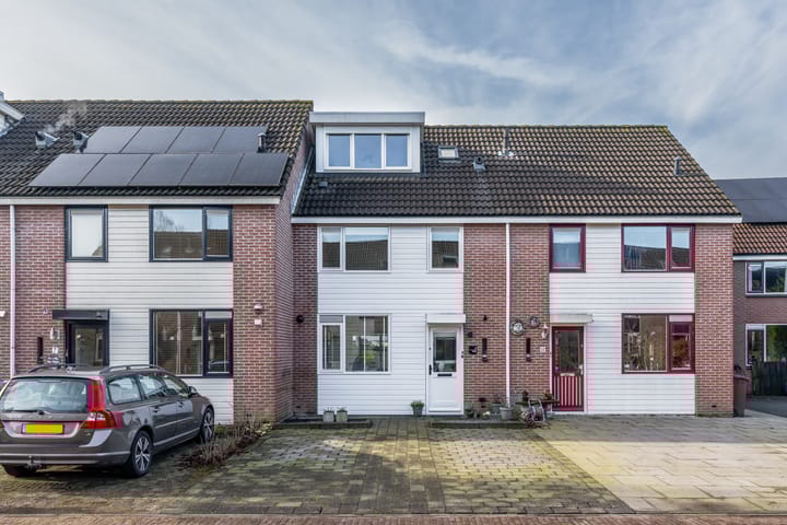 Foto 8 van Speenkruid 9