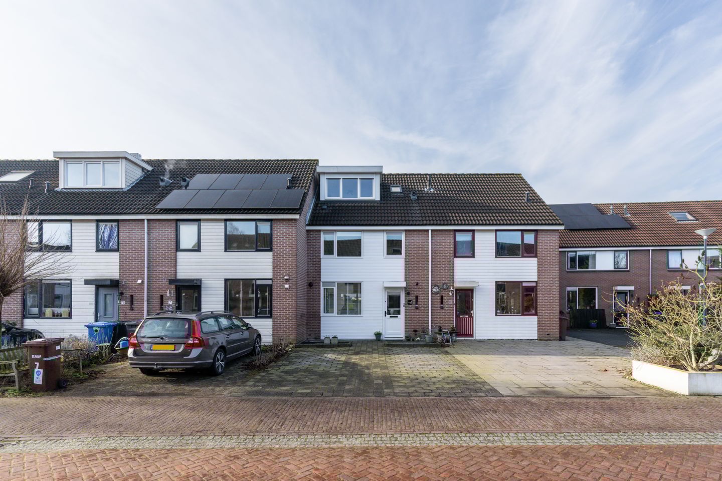 Foto 10 van Speenkruid 9