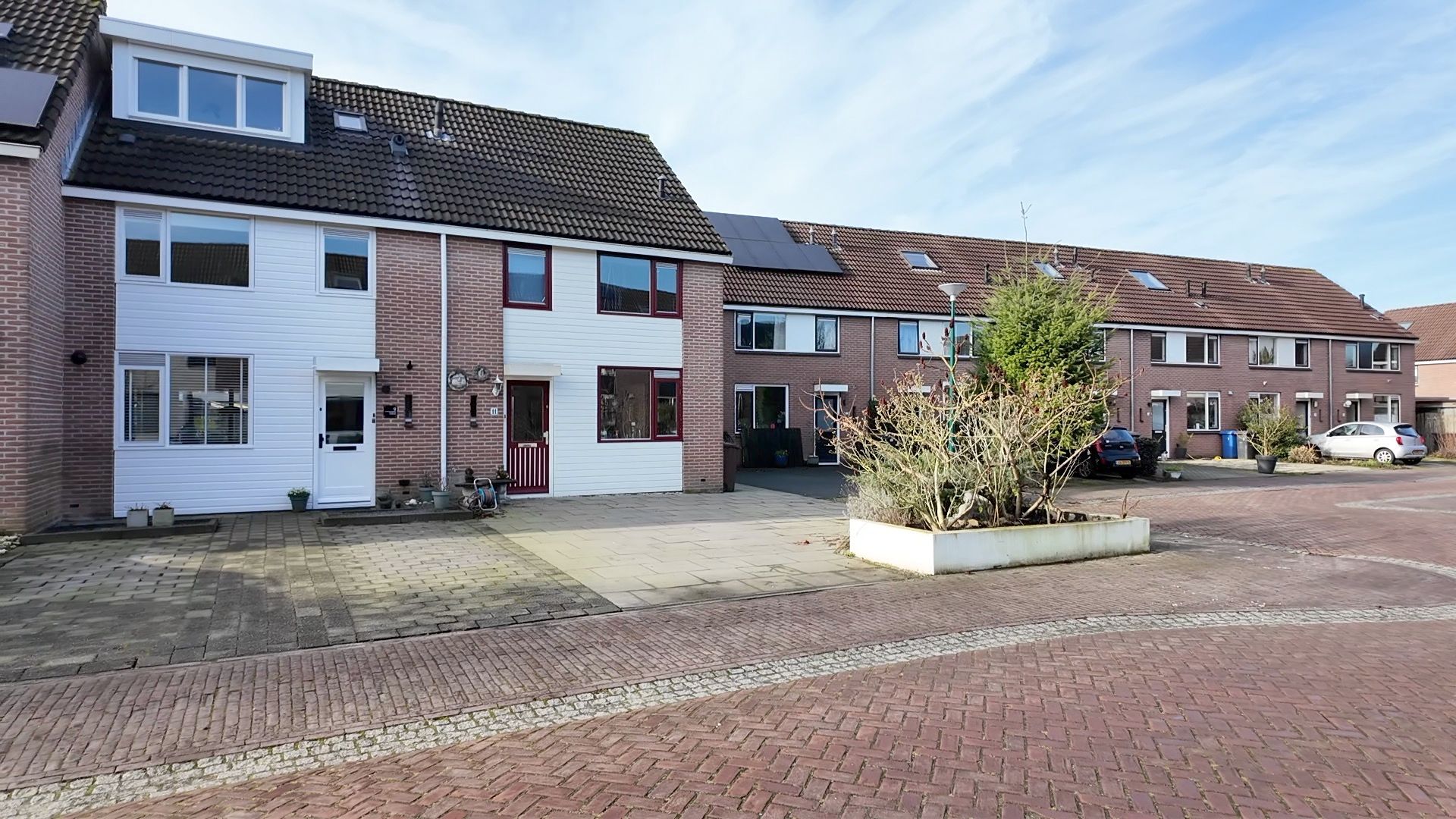 Foto 12 van Speenkruid 9