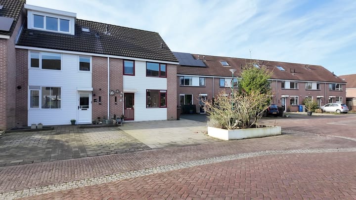 Foto 12 van Speenkruid 9