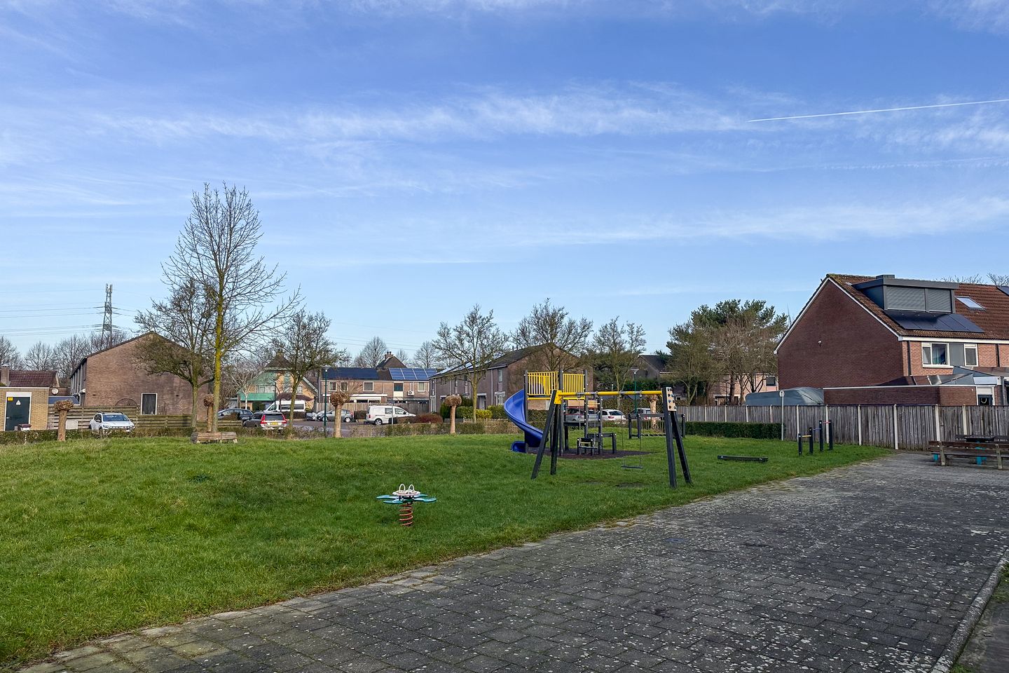 Foto 65 van Speenkruid 9