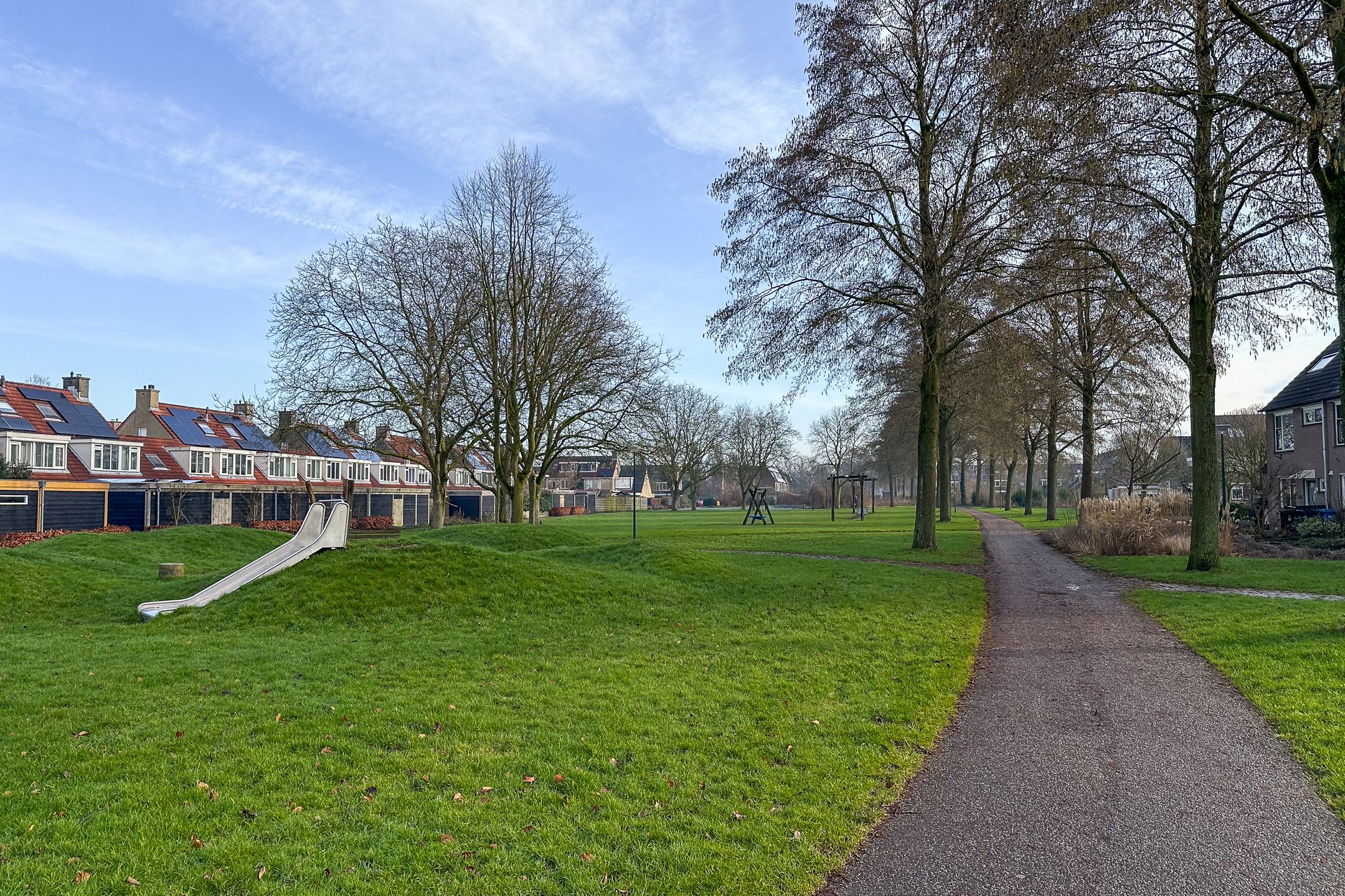 Foto 66 van Speenkruid 9