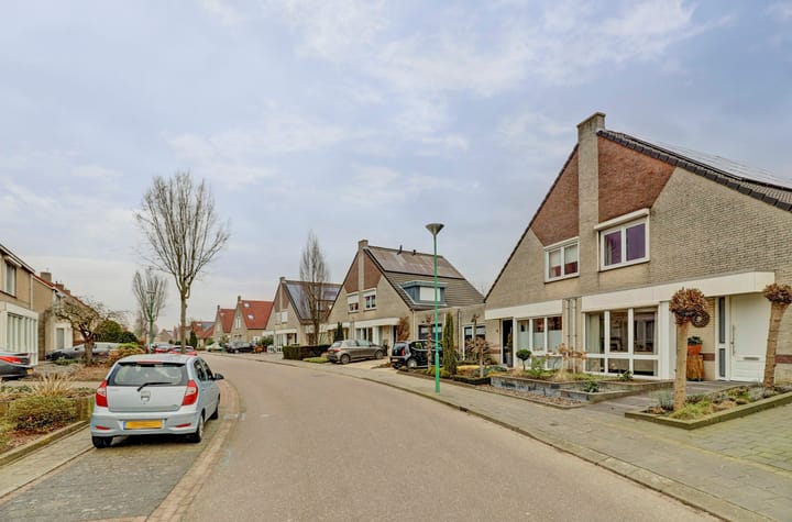 Foto 32 van Standerdmolen 2