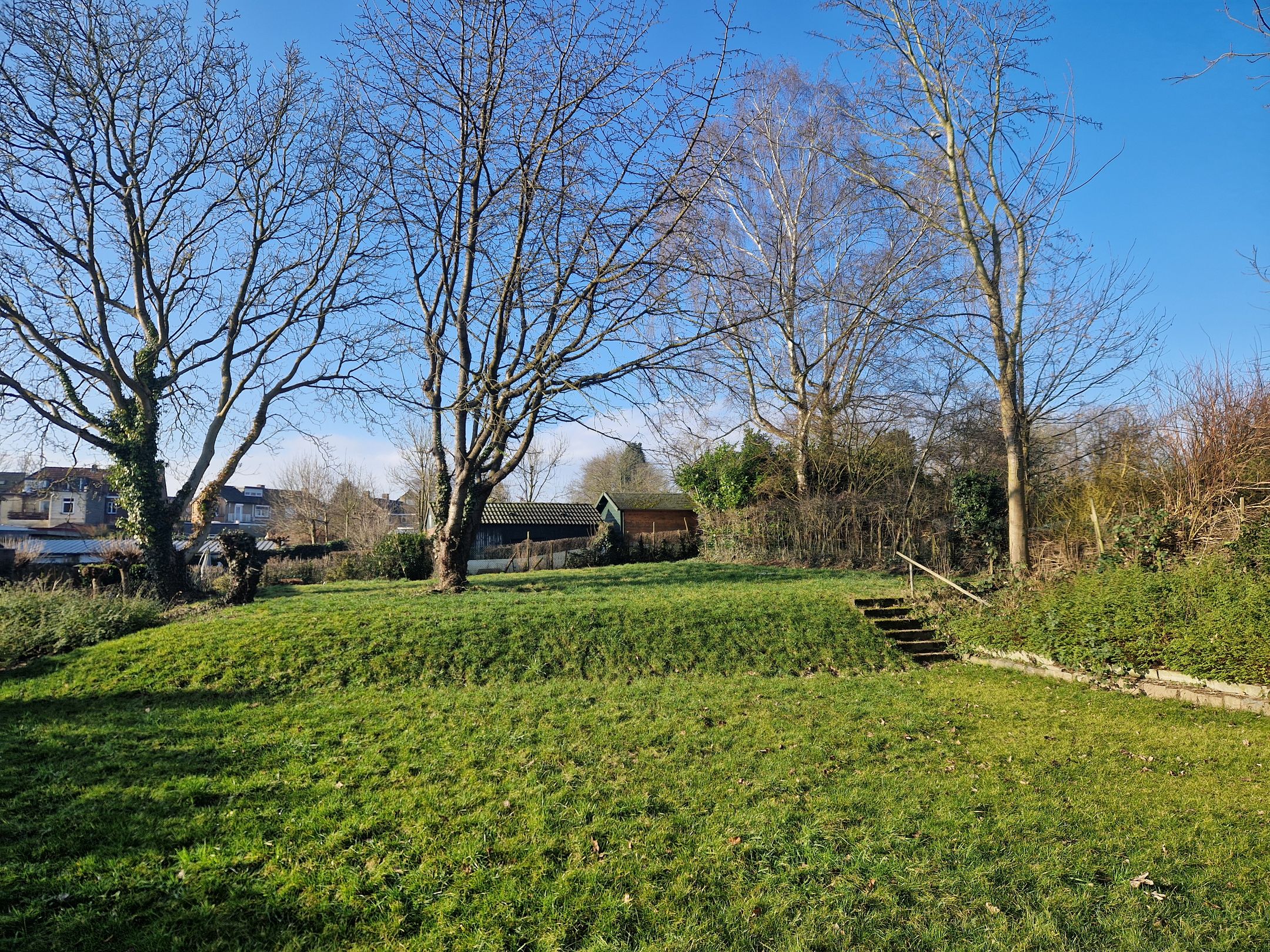 Foto 33 van Hemelrijkstraat 9