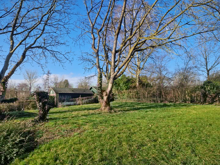 Foto 35 van Hemelrijkstraat 9