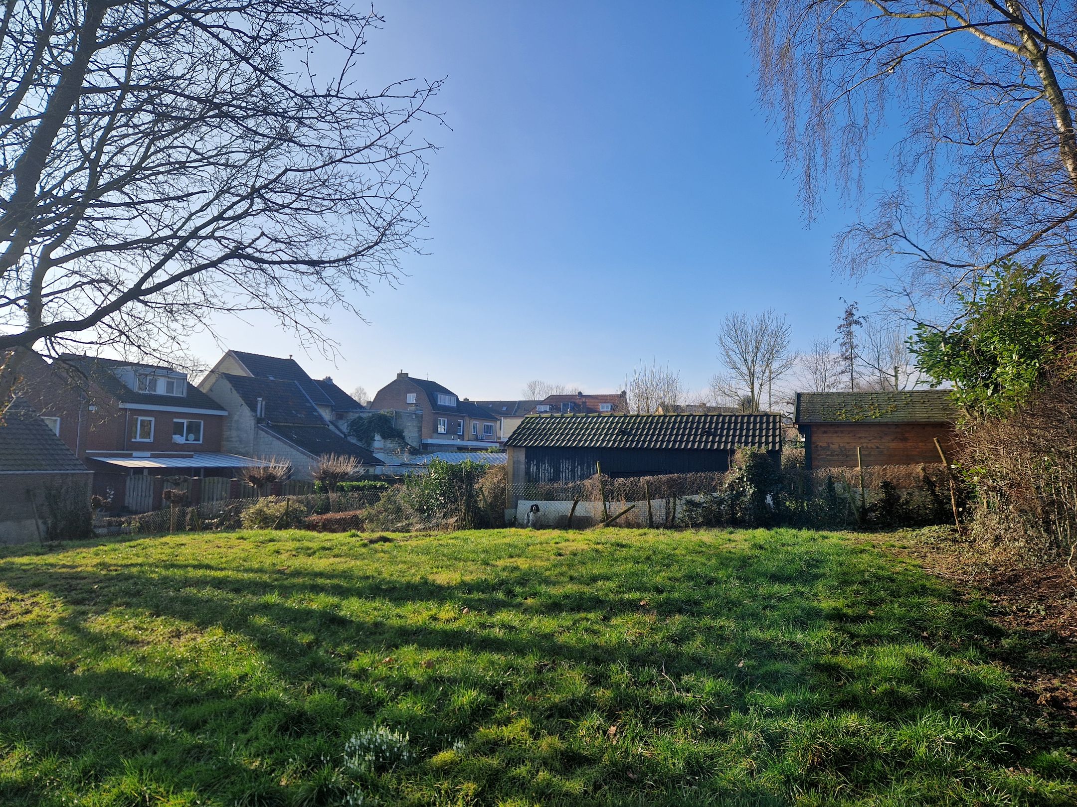 Foto 36 van Hemelrijkstraat 9