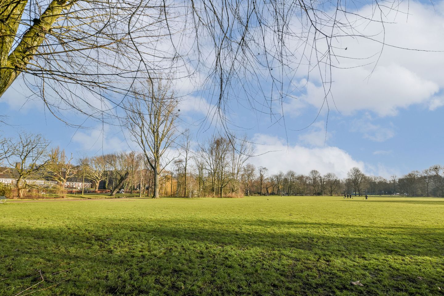 Foto 20 van Tilanusstraat 73-4