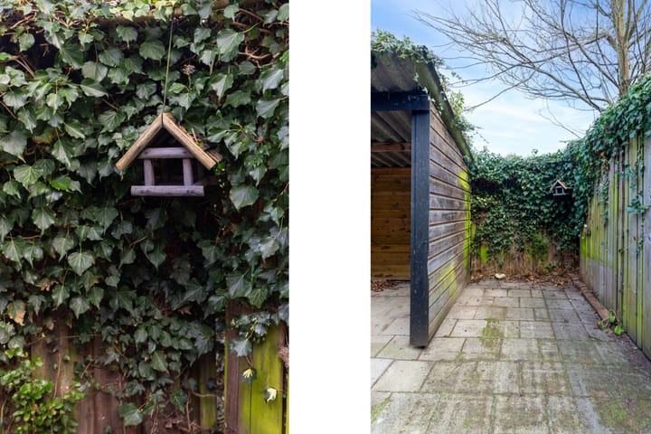 Foto 20 van Dr. Leenaersstraat 19