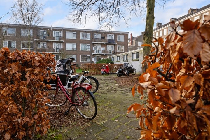 Foto 22 van Hoveniersstraat 3-C