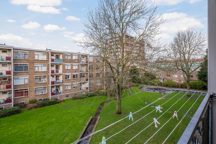 Foto 14 van Schependreef 63