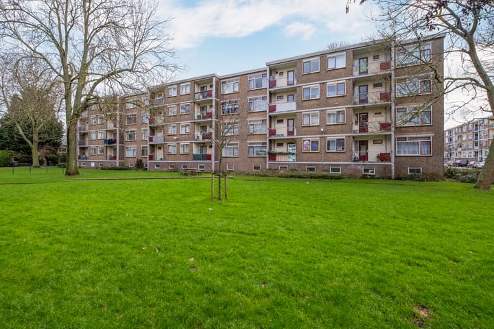 Foto 1 van Schependreef 63