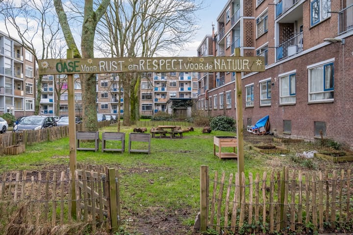 Foto 38 van Schependreef 63