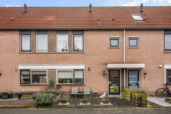 Foto 1 van Perzikkruid 10
