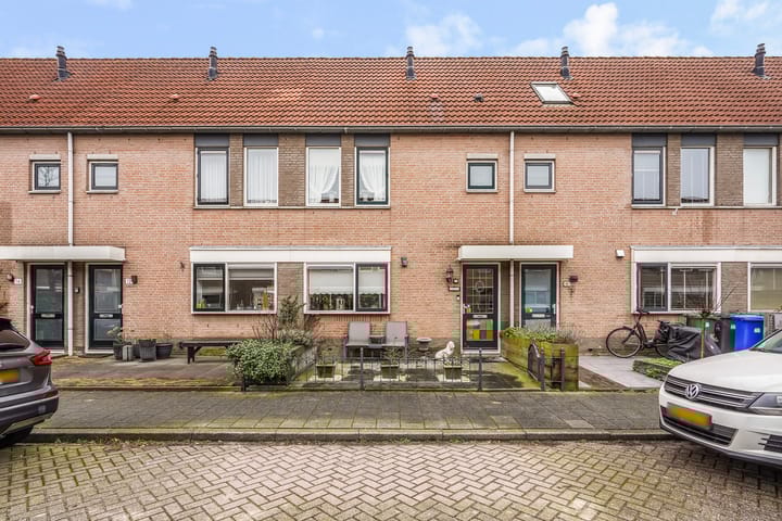 Photo 4 of Perzikkruid 10