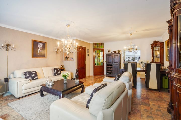 Photo 16 of Perzikkruid 10