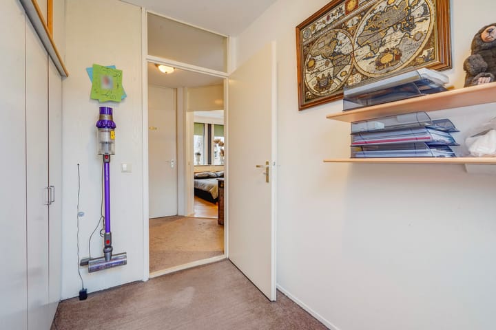 Photo 27 of Perzikkruid 10