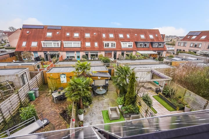 Photo 40 of Perzikkruid 10