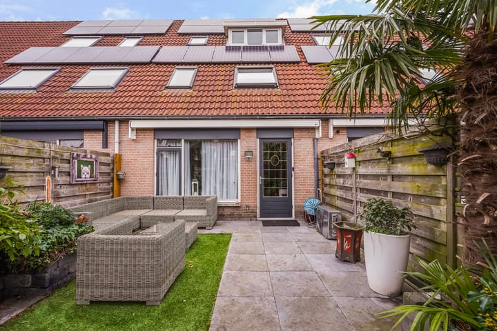 Photo 3 of Perzikkruid 10