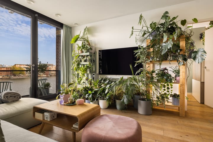 Foto 14 van Purperhoedenveem 52