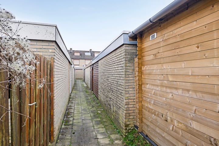 Foto 36 van Apollohof 85