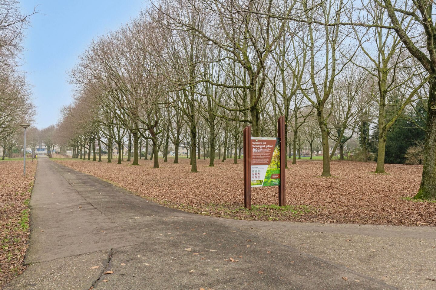 Foto 40 van Mandenvlechter 153