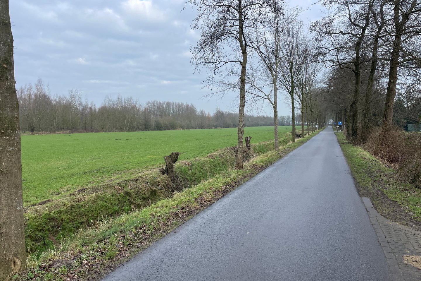 Bekijk foto 4 van Hooiweg