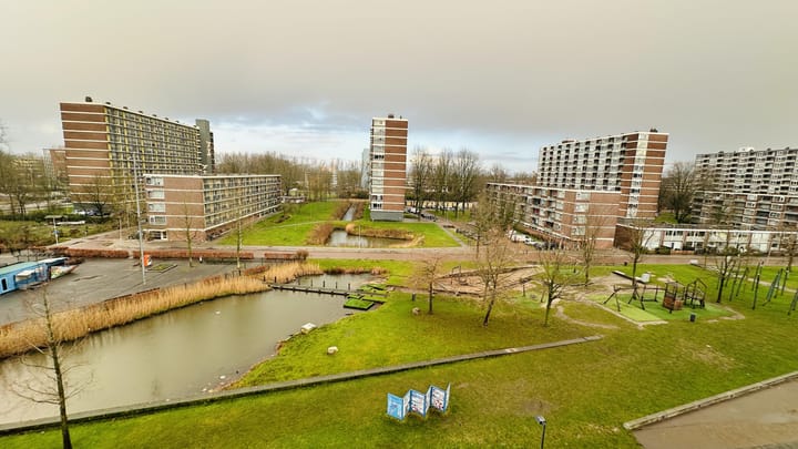 Foto 16 van Palmyraplaats 162