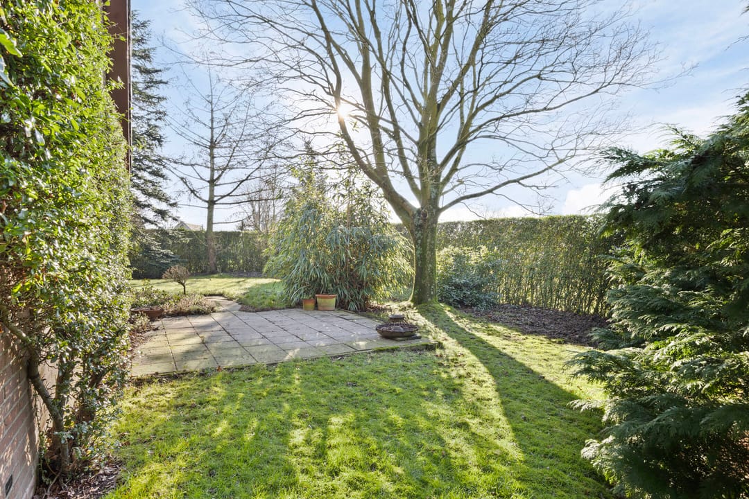 Foto 37 van Woeziksestraat 448