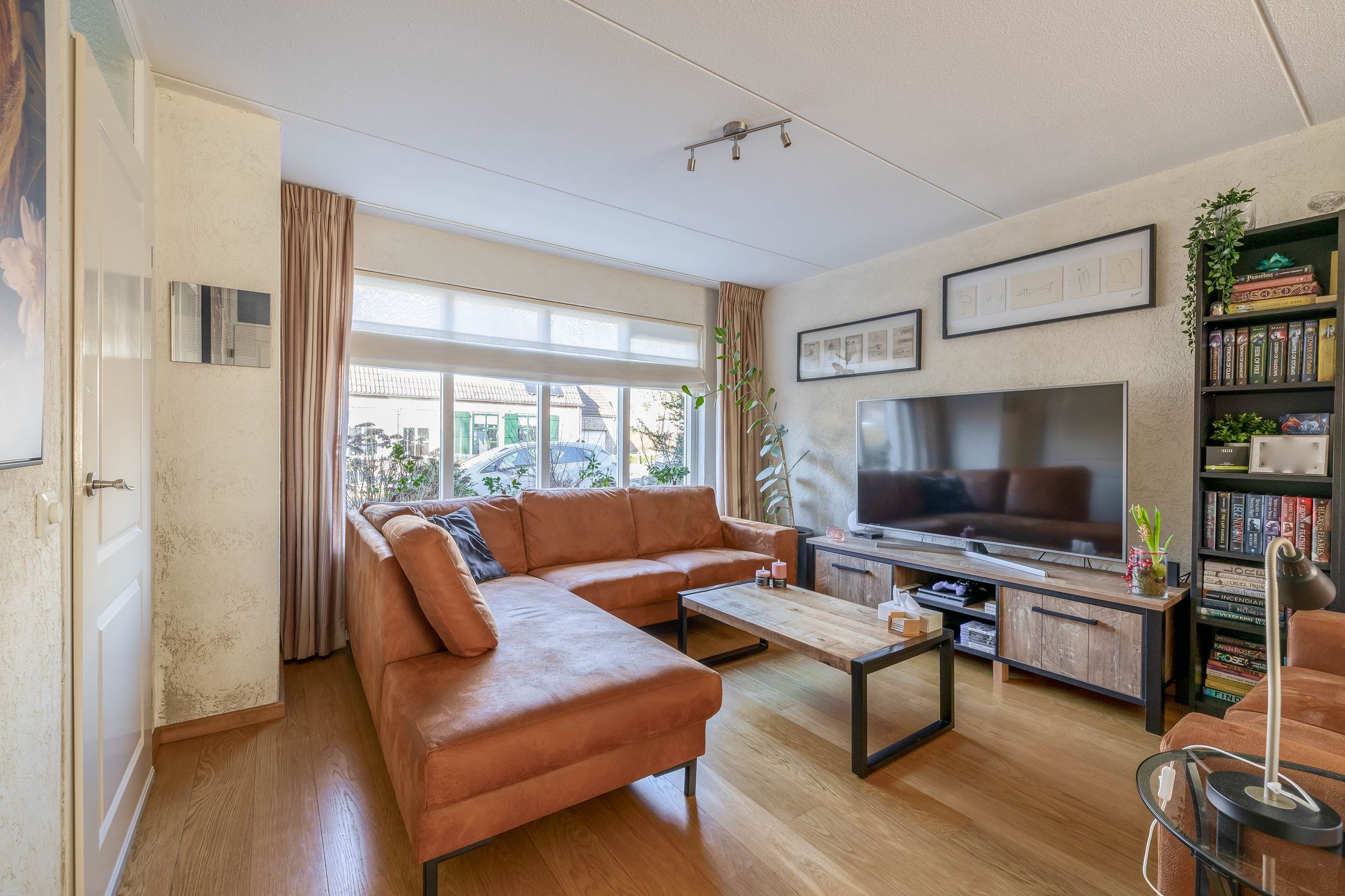 Photo 6 of Acacia 41