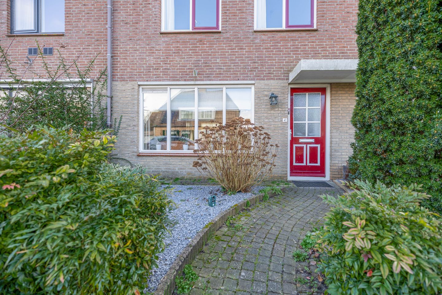 Photo 4 of Acacia 41