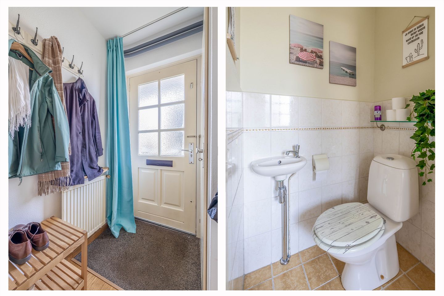 Photo 5 of Acacia 41