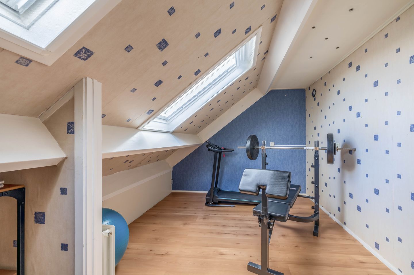 Photo 25 of Acacia 41