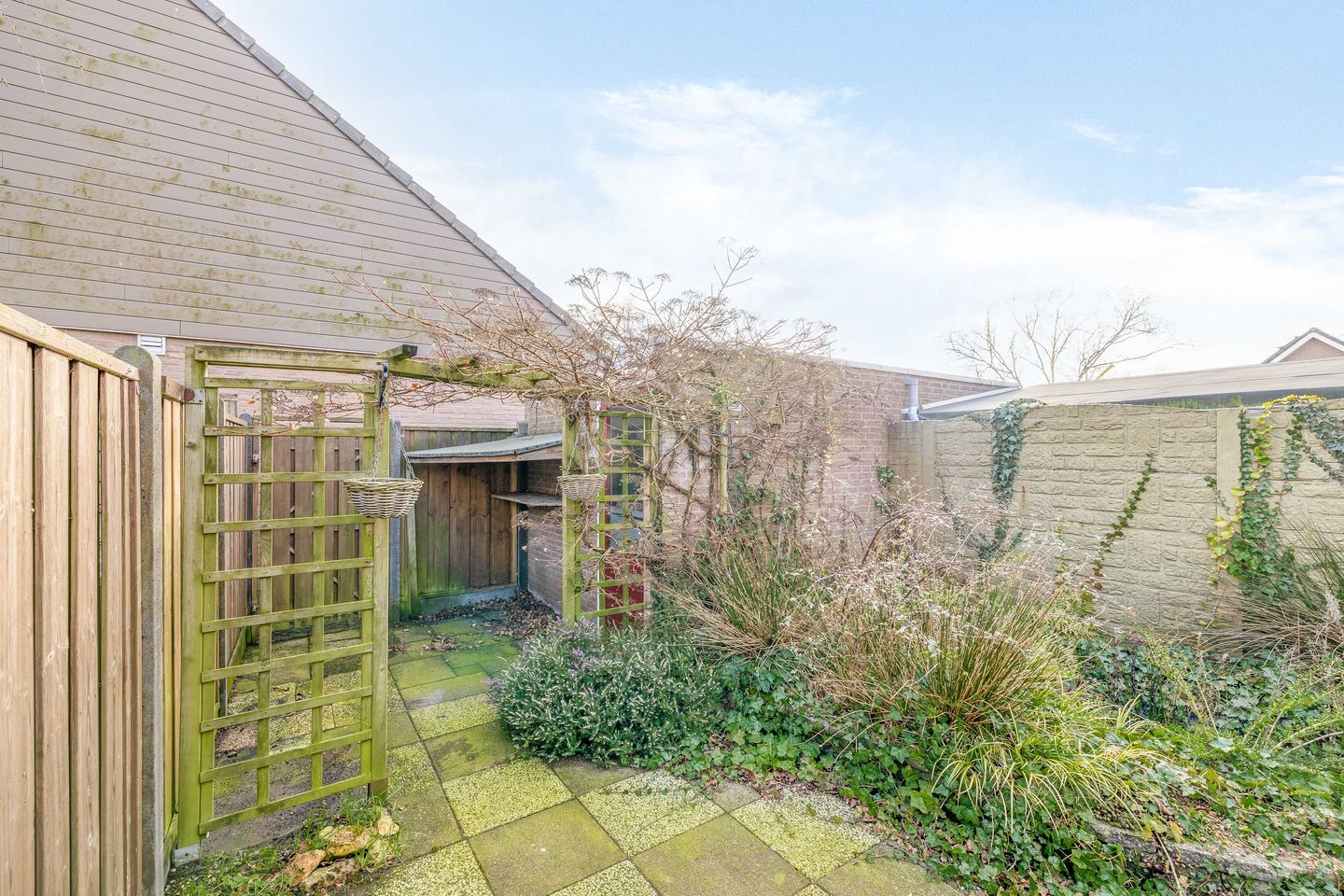 Photo 29 of Acacia 41