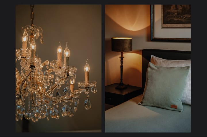 Foto 28 van Fazant 5