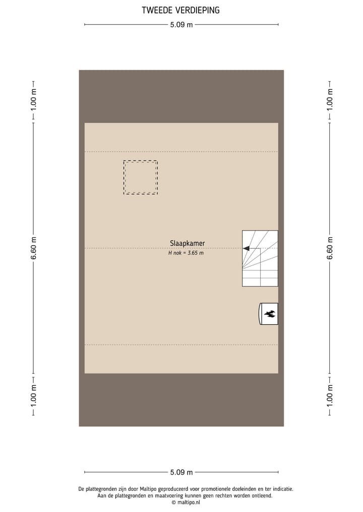 Foto 42 van Fazant 5