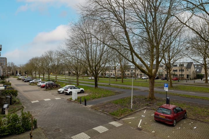 Foto 49 van Oranjepoldererf 50