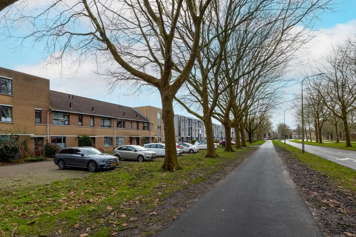 Foto 53 van Oranjepoldererf 50