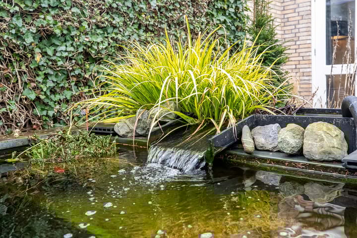 Foto 31 van Dries 19