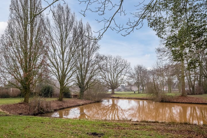 Foto 38 van Dilleveld 66