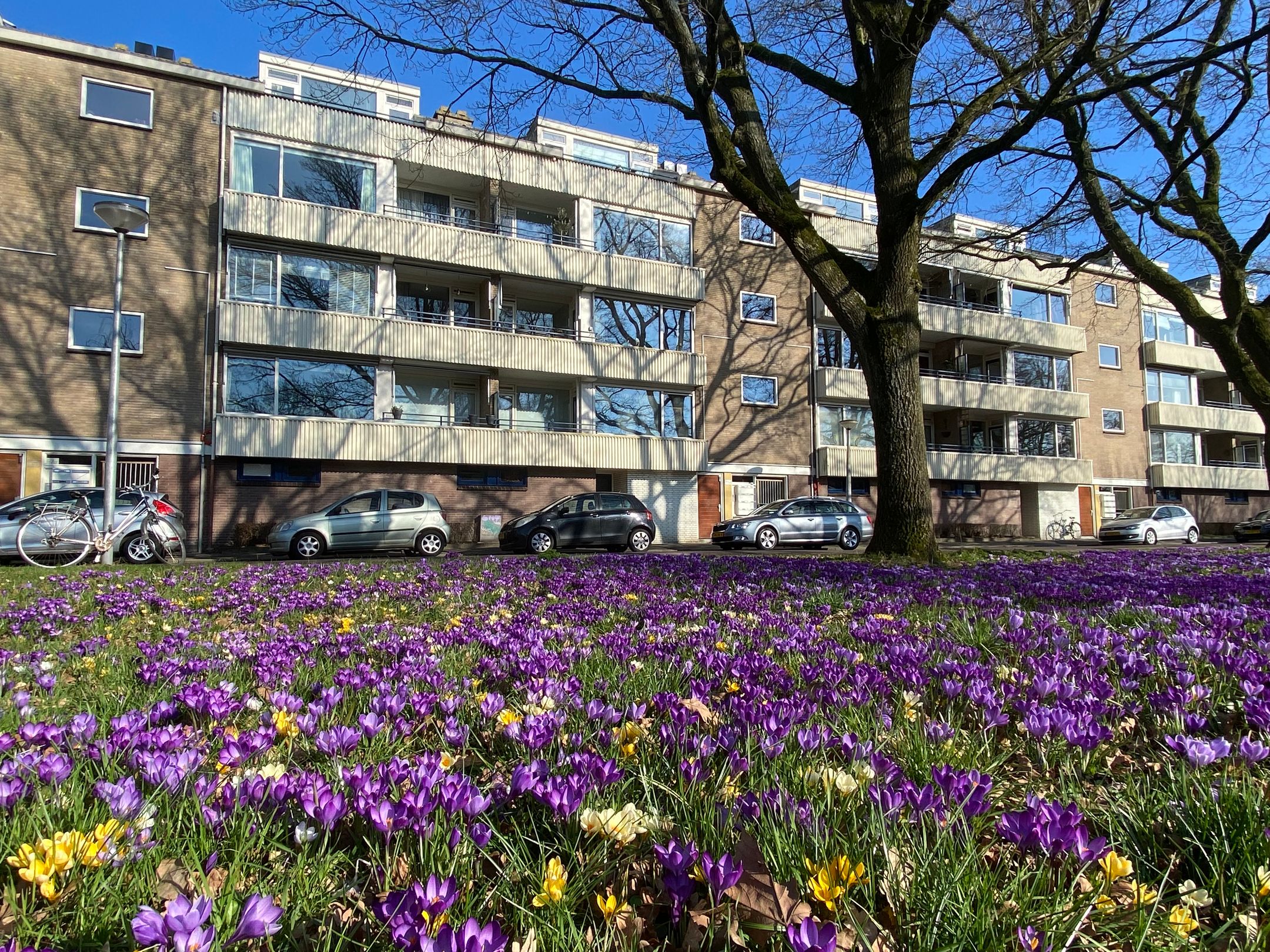 Foto 30 van Admiraal de Ruyterlaan 24-F