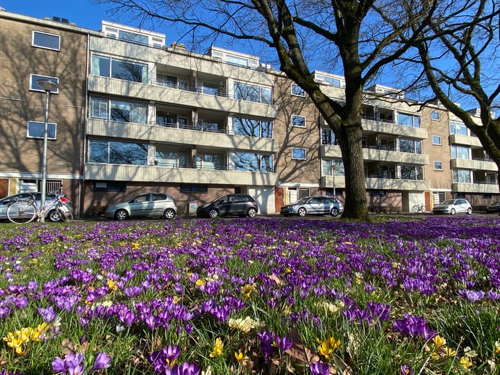 Foto 30 van Admiraal de Ruyterlaan 24-F