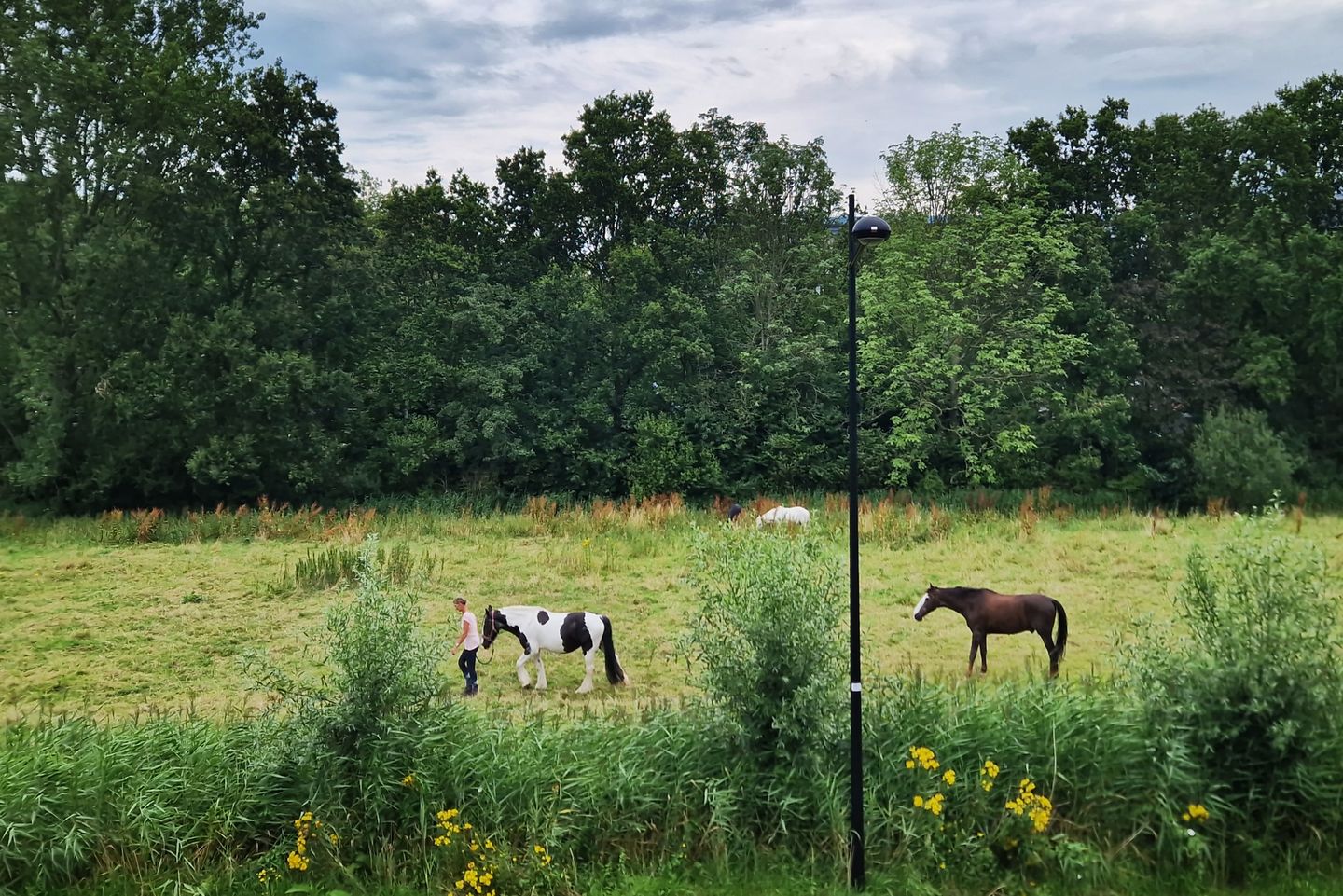 Photo 40 of Dassenberg 20