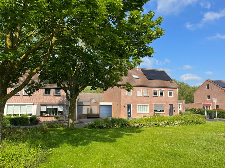 Foto 2 van Schorpioen 46